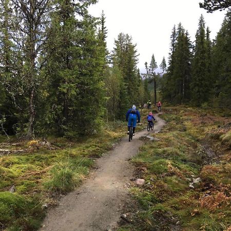 Historie Hytten Rukkedalen Nesbyen Hallingdal - Har Ikke Innlagt Vann Eller Strom Nes  Exteriör bild